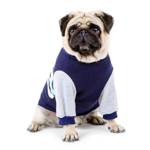 Dog Jumper - Blue and White Chevron print